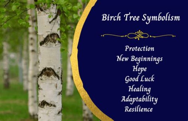 What birches symbolize
