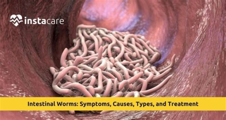 What causes tent worms